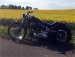 Shovelschuppen, Sandras Shovelhead, Hans aus der Kiste