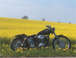 Shovelschuppen, Sandras Shovelhead, Hans aus der Kiste