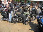 Mini Sturgis in Gr&aring;sten 2012
