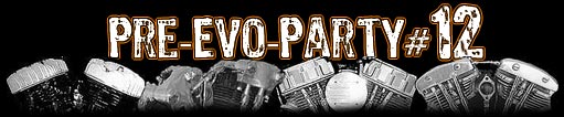 Pre-Evo-Party #12 in Bodenwerder, Juni 2014