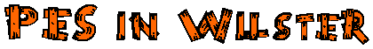 12. Pre-Evo-Sunday in Wilster, August 2018